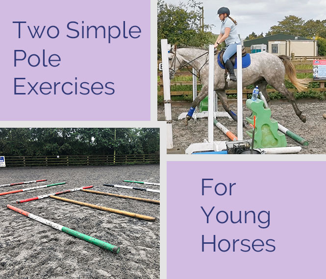 Tamaño Disponible: Pony Full y Extra Full Cuerda Ajustable para Caballos para Entrenamiento y equitación COB Wonder Wish 
