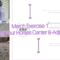 March Exercise 1 - Improving Your Horses Canter & Adjustability